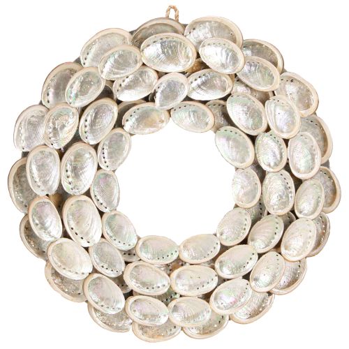 Floristik24 Dekorative krans træ abalone snegle hvid natur H30cm