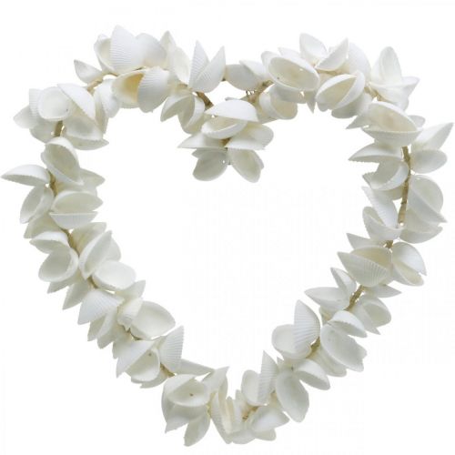 Floristik24 Muslingehjerte, maritim Valentinsdag dekoration, dekorativt hjerte lavet af skaller, hav dekoration 34×34cm