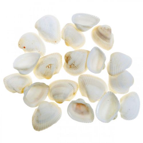 Artikel Deco Shell White Ægte skaller i et raffia net deco maritime 400g