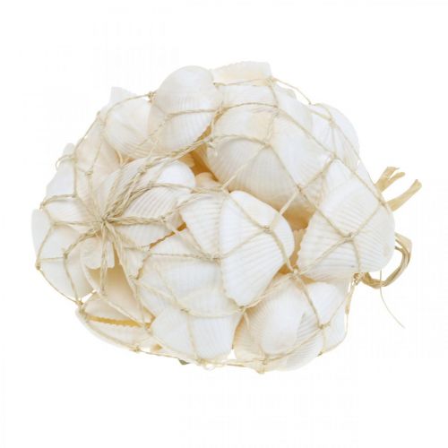 Artikel Deco Shell White Ægte skaller i et raffia net deco maritime 400g