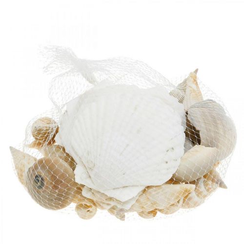 Artikel Dekorative snegleskaller Havsnegle natur Maritim dekoration 350g