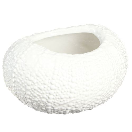 Artikel Dekorativ skål keramik maritim oval i hvid 19x15x8,5cm