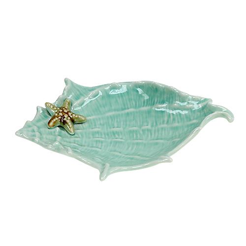 Floristik24 Dekorativ shell shell 22cm
