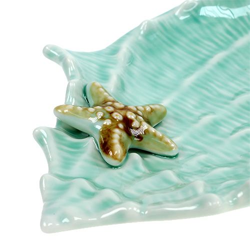 Floristik24 Dekorativ shell shell 22cm