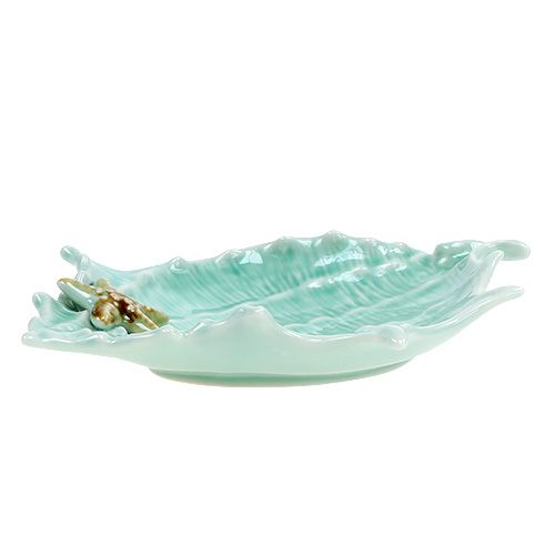 Floristik24 Dekorativ shell shell 22cm