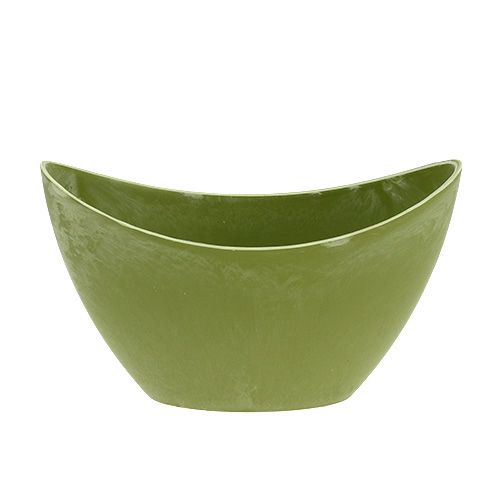Floristik24 Dekorativ skål plast lysegrøn 20cm x 9cm H11,5cm, 1p