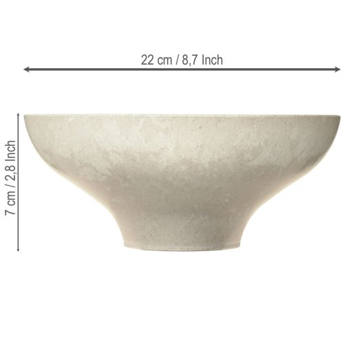 Floristik24 Dekorativ skål med bund plastikskål rund cremefarvet Ø19cm H8cm