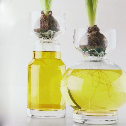 Floristik24 Dekorativt vandgult 150 ml