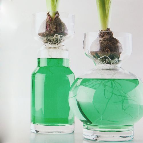 Floristik24 Dekorativ vandgrøn 150 ml