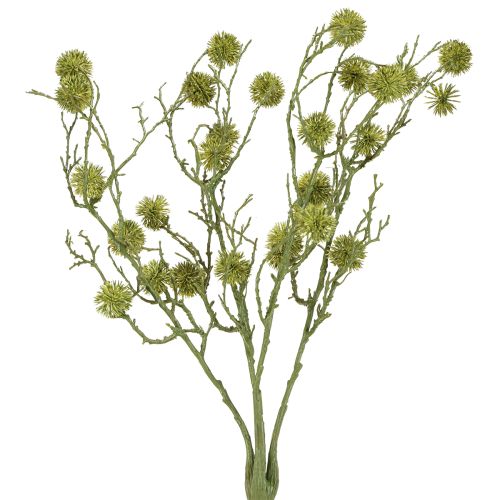Floristik24 Dekorativ gren af sødt gumtræ, frugter, lysegrøn, 48 cm
