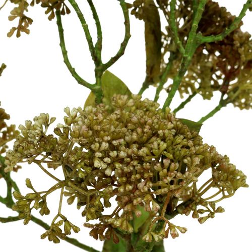 Floristik24 Dekorativ gren stonecrop grøn 58cm