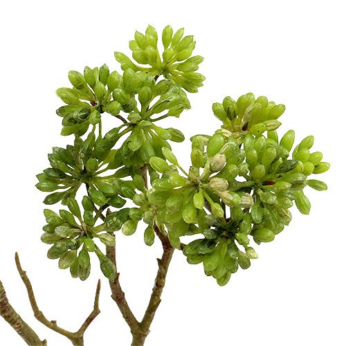 Floristik24 Deco gren grøn 80cm