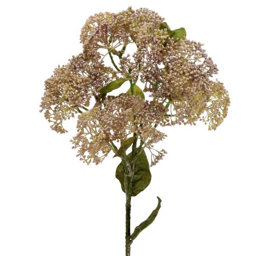 Artikel Dekorativ gren stonecrop lyserosa 58cm