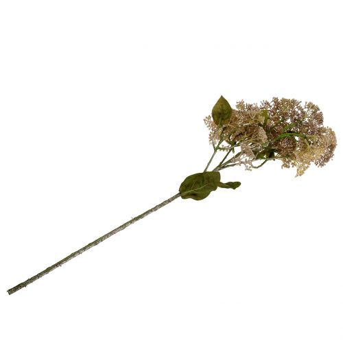 Artikel Dekorativ gren stonecrop lyserosa 58cm