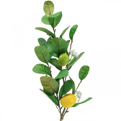 Floristik24 Dekorativ citrongren med blomster og frugter H68cm