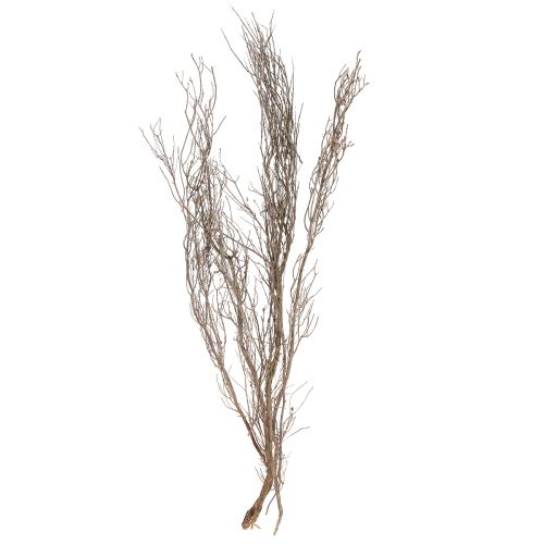 Artikel Dekorative grene naturlige dekorative timian grene tørret 500g