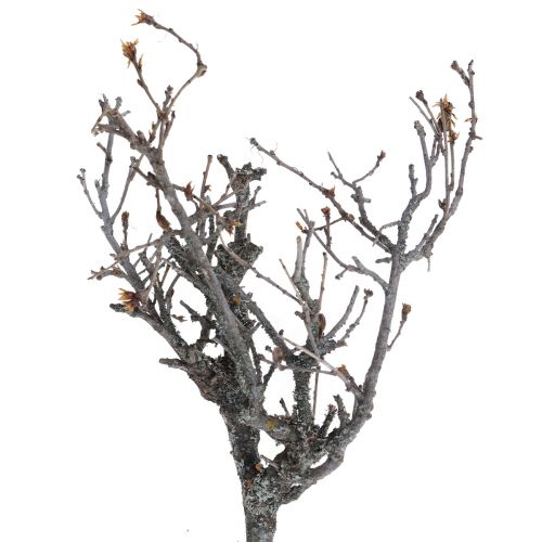Artikel Deco grene bonsai træ deco grene 15-30cm 650g