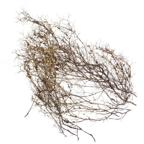 Floristik24 Deco grene Jern Bush grene naturlig dekoration træ natur 250g