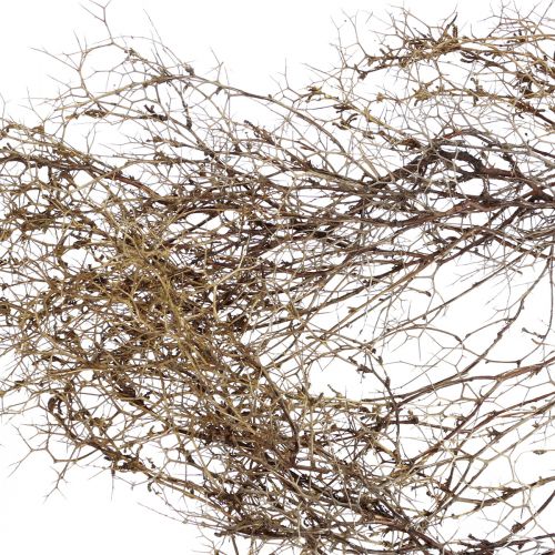 Artikel Deco grene Jern Bush grene naturlig dekoration træ natur 250g