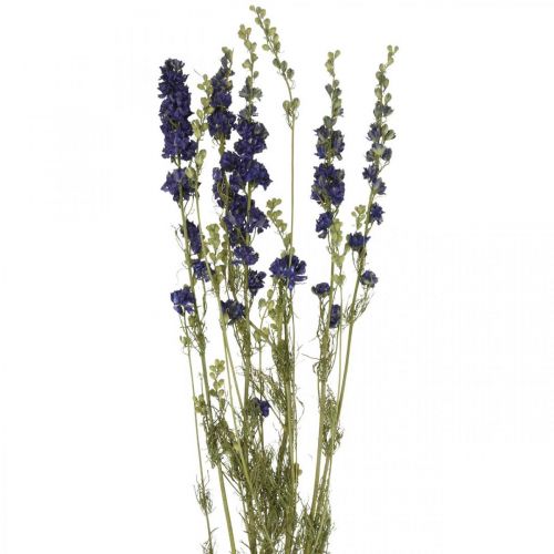 Floristik24 Tørret delphinium, tør blomster, delphinium blå L64cm 25g