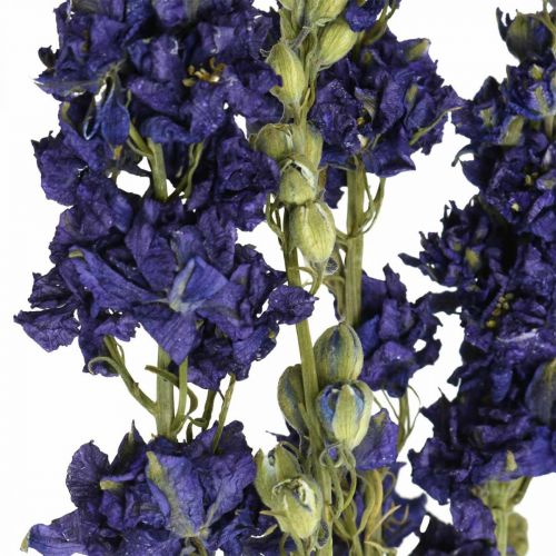 Artikel Tørret delphinium, tør blomster, delphinium blå L64cm 25g