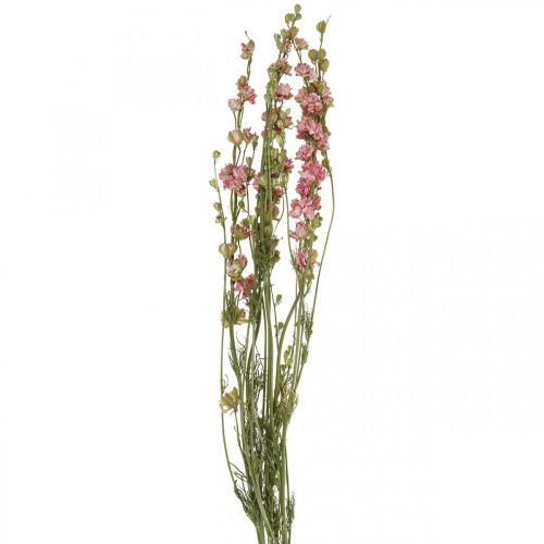 Artikel Tørret blomst delphinium, Delphinium pink, tør blomsterblomst L64cm 25g