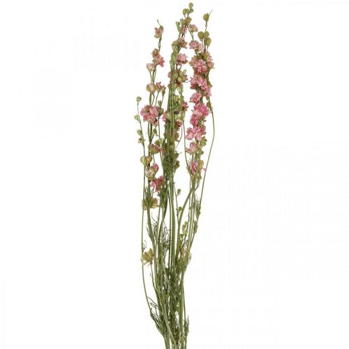 Floristik24 Tørret blomst delphinium, Delphinium pink, tør blomsterblomst L64cm 25g