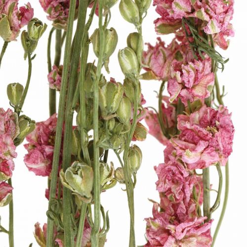 Artikel Tørret blomst delphinium, Delphinium pink, tør blomsterblomst L64cm 25g