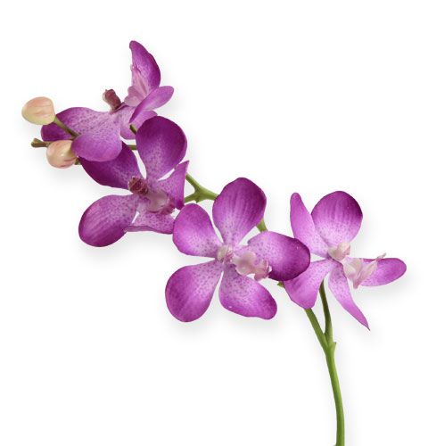 Orkidé lilla 38cm
