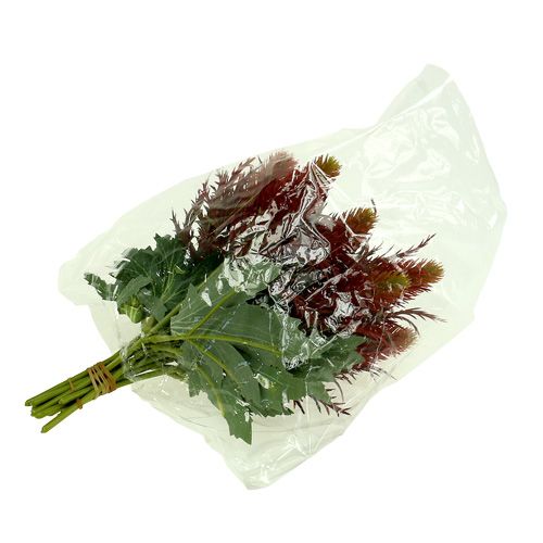 Floristik24 Tidsel rød-grøn 20cm 12stk