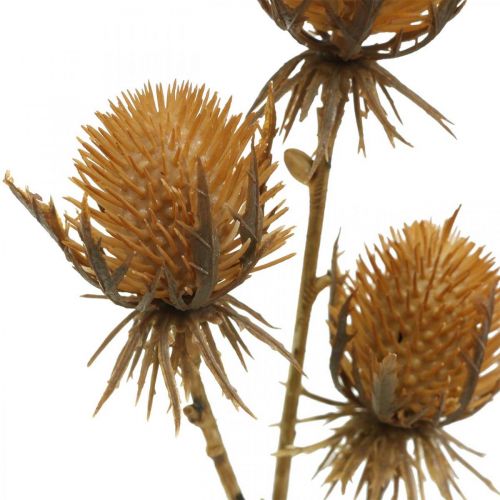 Artikel Thistle Branch Brun Kunstig Plante Efterårsdekoration 38cm Kunstig plante som den ægte vare!