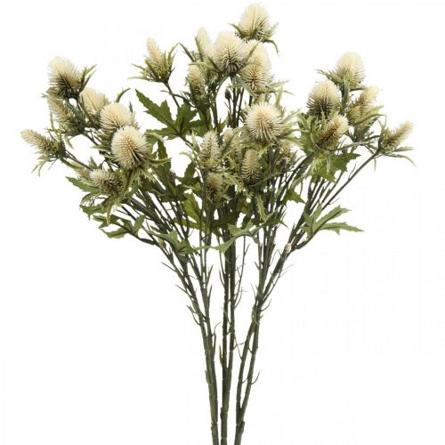 Floristik24 Tidsel kunstig deco gren creme 10 blomsterhoveder 68cm 3 stk