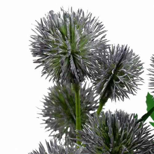 Floristik24 Tidsel silke blomst blå 56cm 3stk