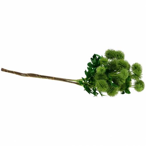 Floristik24 Tidsel silke blomst grøn 56cm 3stk