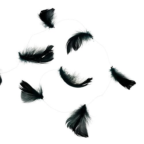 Floristik24 Tråd med fjeder sort 10m