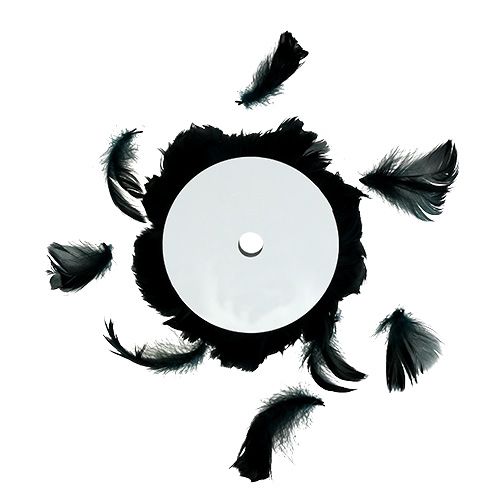 Floristik24 Tråd med fjeder sort 10m