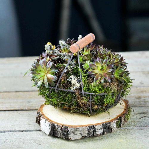 Floristik24 Trådkurv oval med håndtag grå 17×11 cm H15 cm 2 stk.