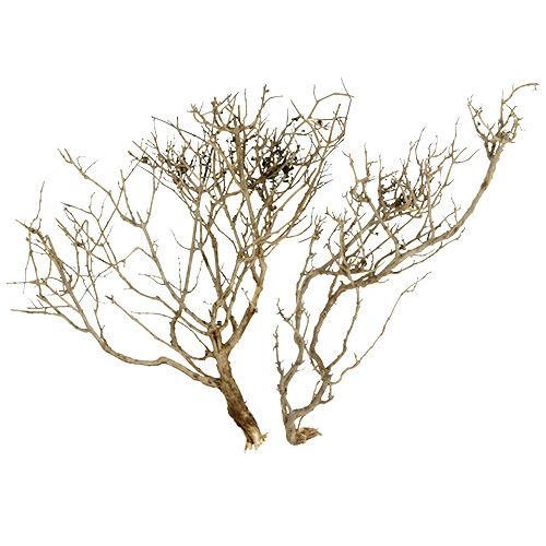 Artikel Dry Tree Nature 500gr