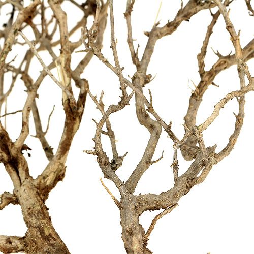 Artikel Dry Tree Nature 500gr