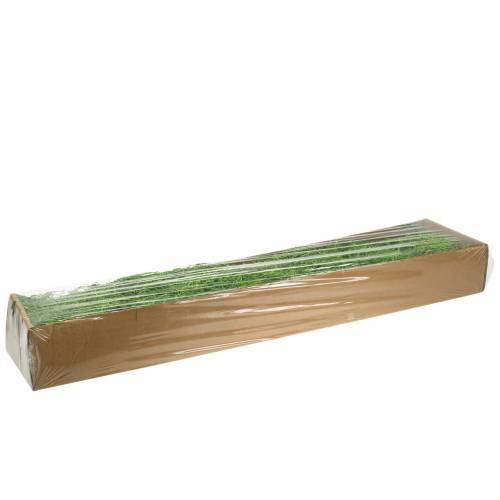 Floristik24 Jungle mos forårsgrøn 250g