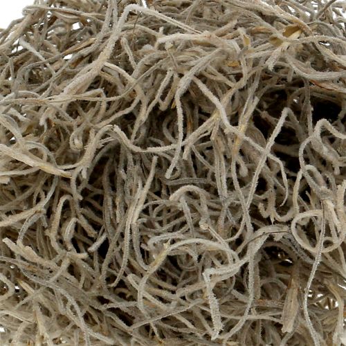 Floristik24 Jungelmos naturlig 250g