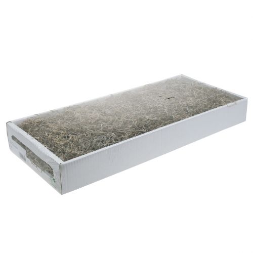 Floristik24 Jungelmos naturlig 250g