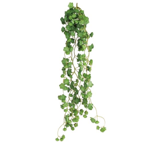 Artikel Echeveria kunstige hængeplanter i grøn B12cm L50cm