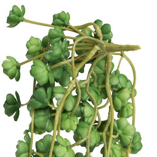 Artikel Echeveria kunstige hængeplanter i grøn B12cm L50cm