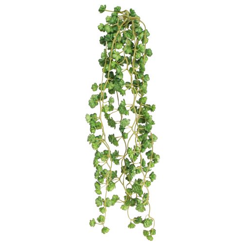 Artikel Echeveria kunstige hængeplanter i grøn B12cm L50cm