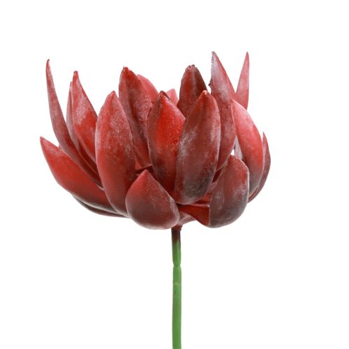 Sukkulent Echeveria Kunstige Grønne Planter Rød Ø12cm 19,5cm