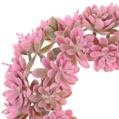 Floristik24 Echeveria krans lyserød Ø18cm 4stk