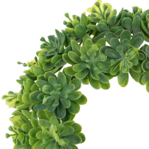 Floristik24 Echeveria krans grøn Ø18cm 4 stk
