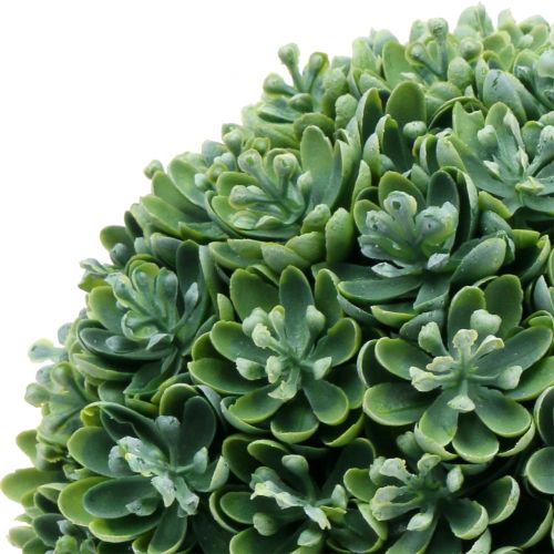 Floristik24 Echeveria kugle kunstgrøn Ø18cm