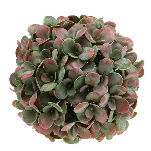 Floristik24 Echeveria-kugle kunstgrøn, rød Ø22cm